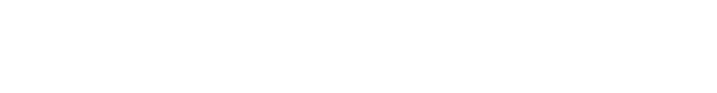 主な機能