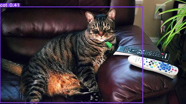 cat-detect.png